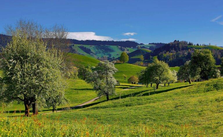 IMEVO Immobilien - Immobilienkauf, Immobilienverkauf, Vermietungen, Gewerbeobjekte